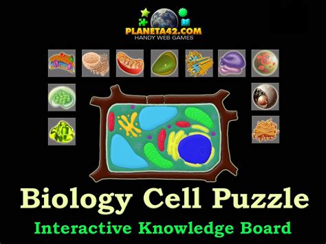 biology games|Cell Puzzle .